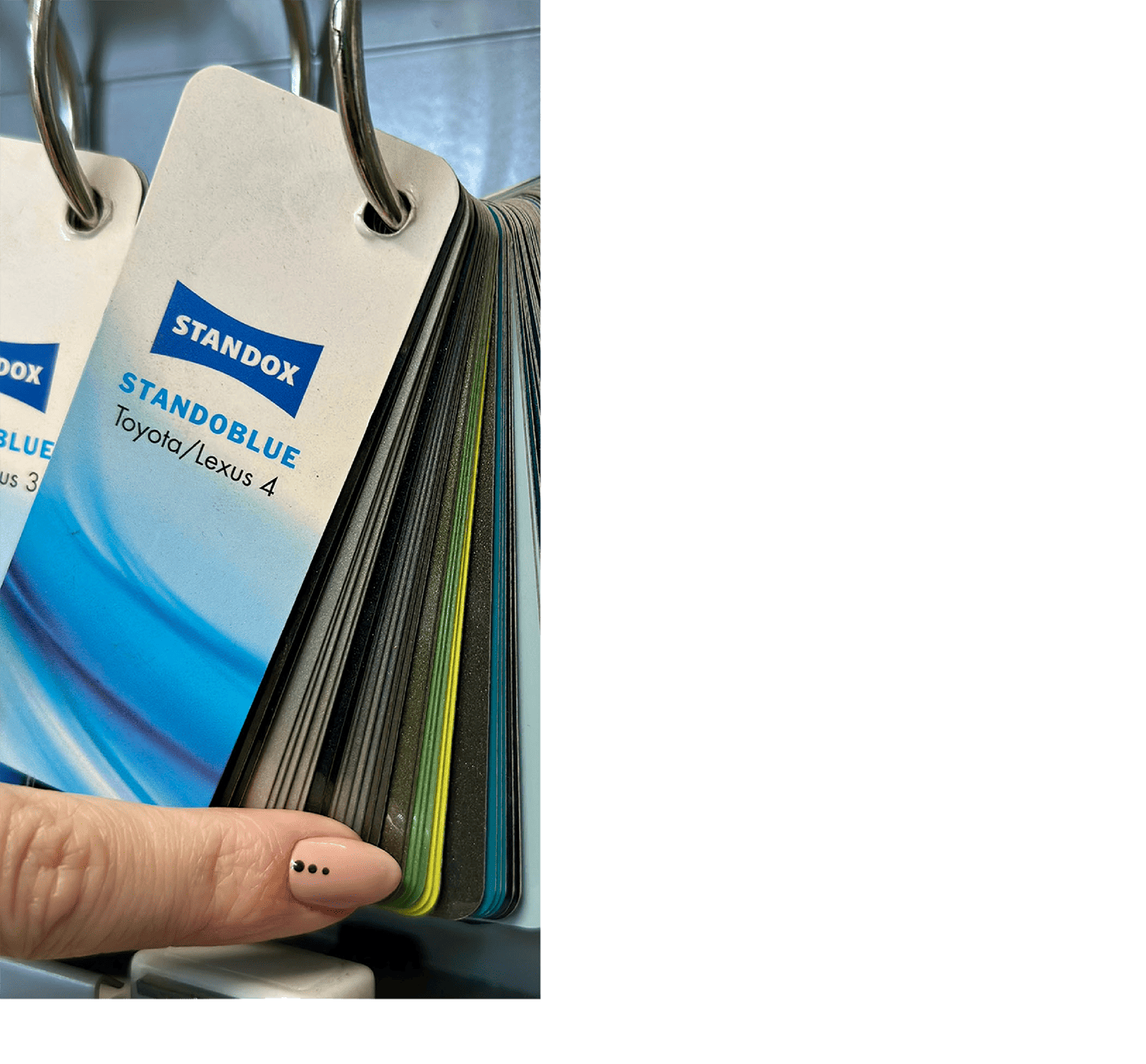 filipczuk-amis-zdjecia2